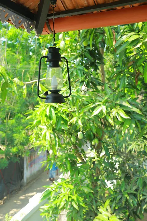 Marari Coastal Dreams Home Stay Alappuzha India