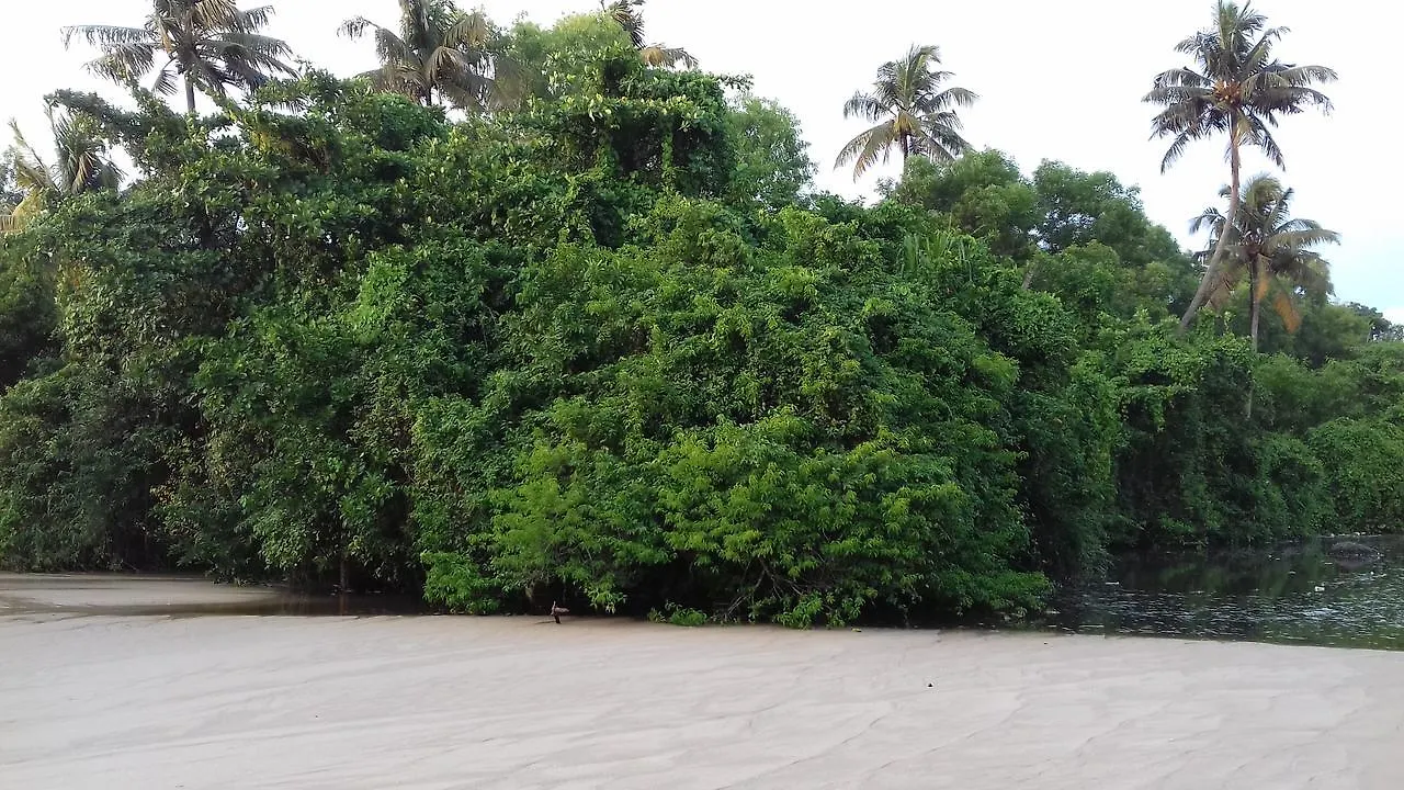 Homestay Marari Coastal Dreams Home Stay Alappuzha India