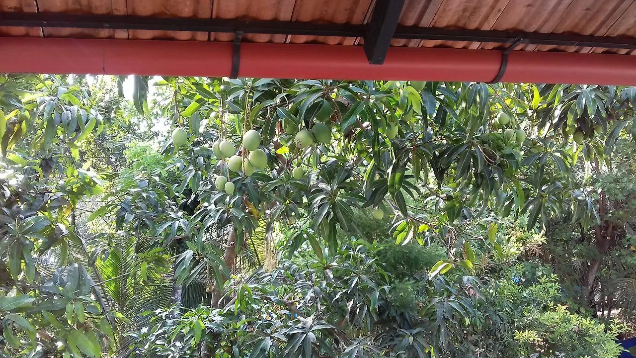 Marari Coastal Dreams Home Stay Alappuzha 0*,  India